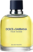 Dolce & Gabbana Pour Homme EdT Nat. Spray