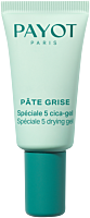 Payot Pâte Grise Spéciale 5 Cica-Gel